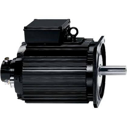 Asynchronous Servo Motors ADF